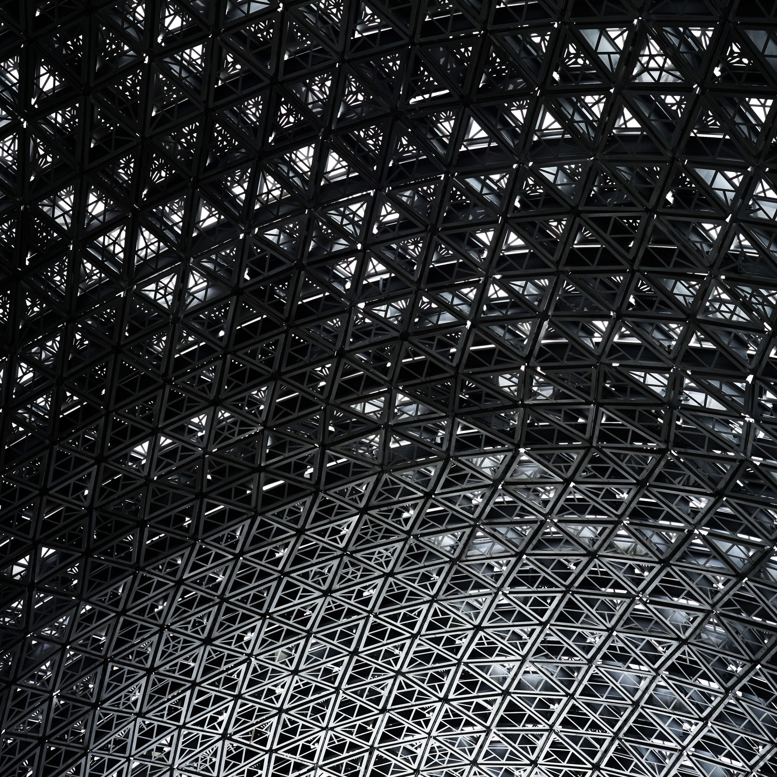Detailed view of an intricate steel roof structure with geometric patterns, showcasing modern architecture.